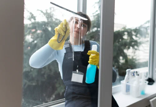 Nettoyage de vitres intérieures et extérieures à Damprichard